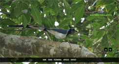 Desktop Screenshot of naturevallarta.com